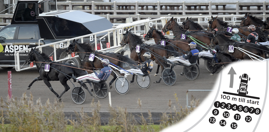 del 3 (startspår auto) - bild B (hästar bakom bilen).jpg